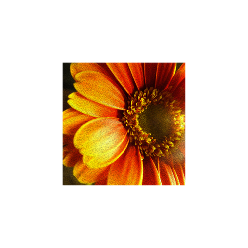 O-Gerbera-5011-c-P