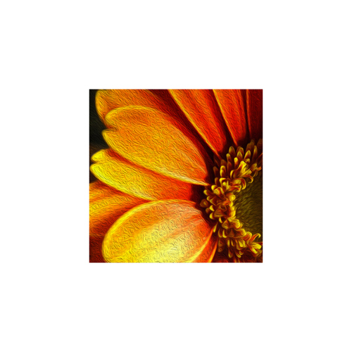 O-Gerbera-5015-c-P