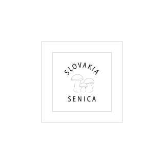 Senica-9001-20x20cm-204g